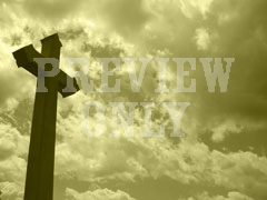 SEPIA CROSS